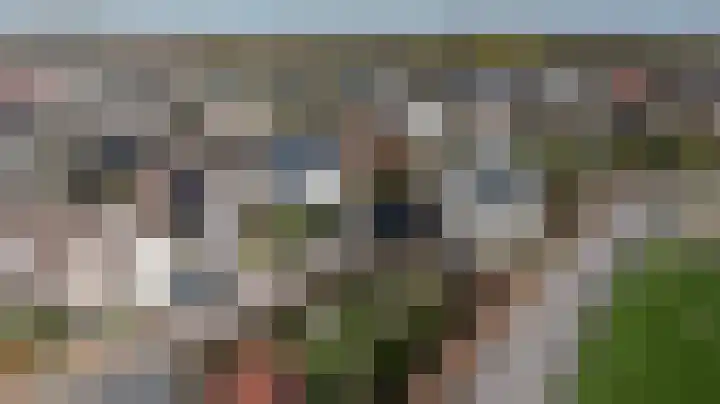 Schenkeldijk 59 Strijen thumbnail 80