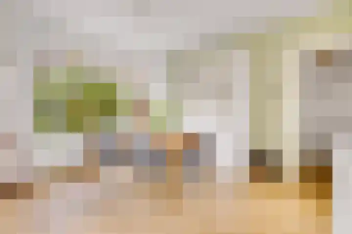 Schenkeldijk 59 Strijen thumbnail 84