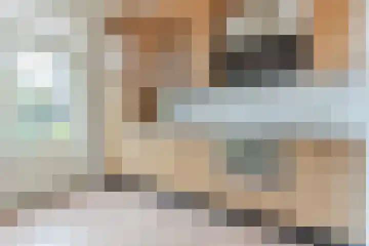 Schenkeldijk 59 Strijen thumbnail 88