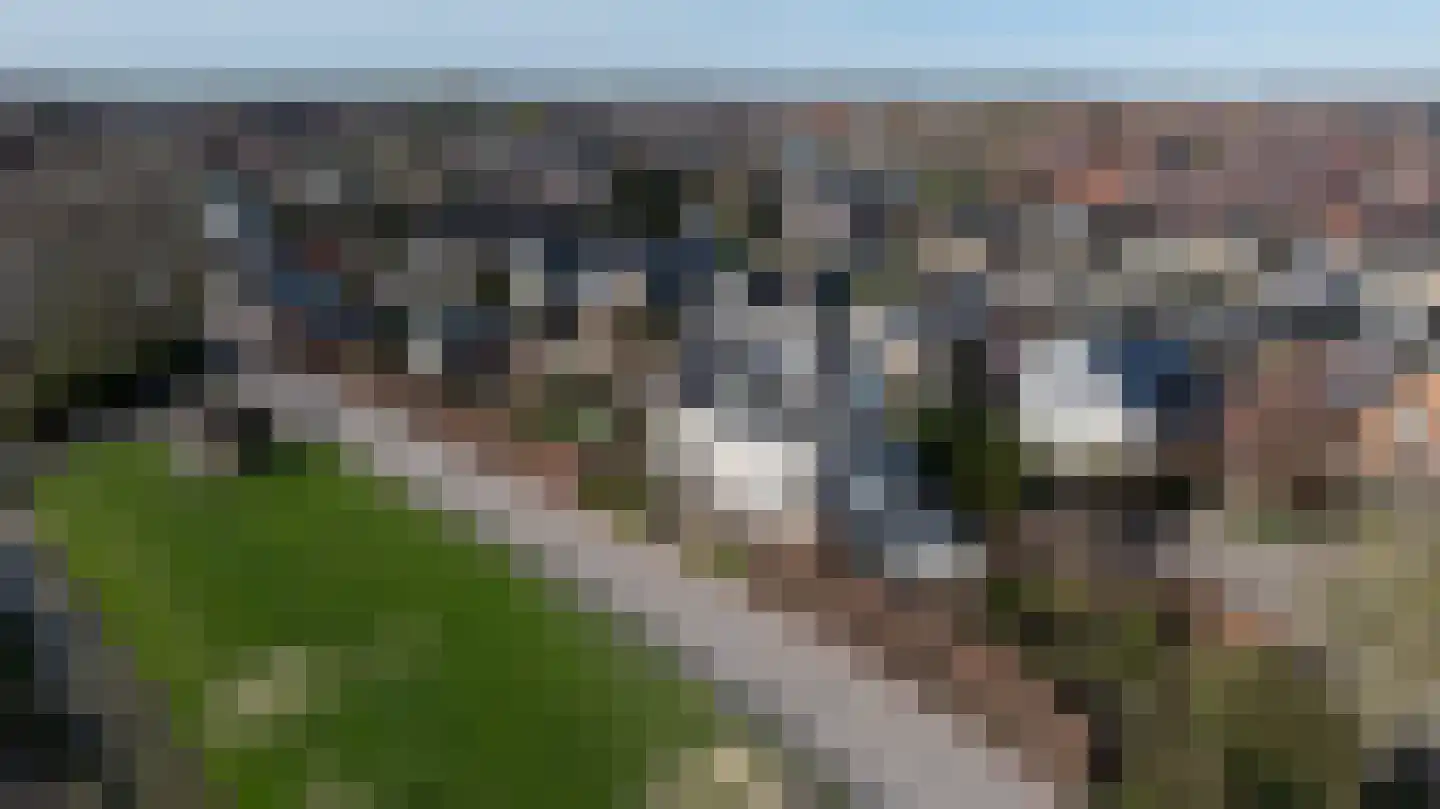 Schenkeldijk 59 Strijen thumbnail 88