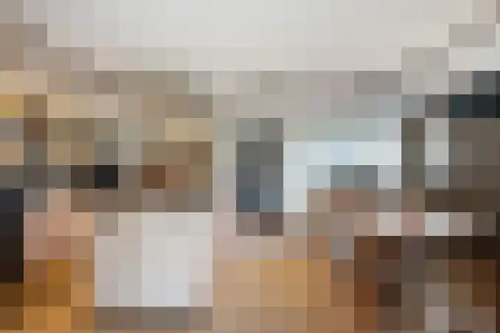 Schenkeldijk 59 Strijen thumbnail 9