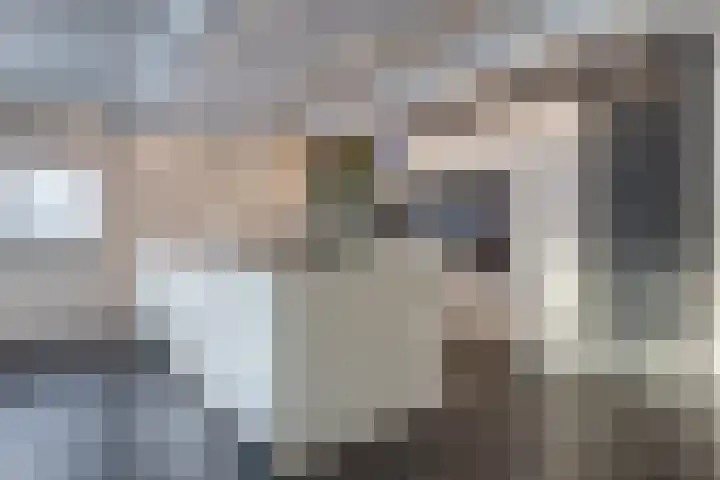 Schenkerven 21 Assendelft thumbnail 12