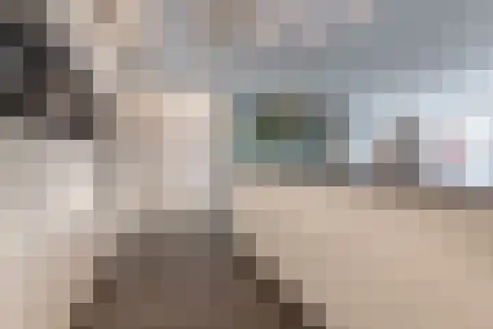 Schenkerven 21 Assendelft thumbnail 13