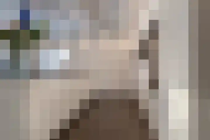 Schenkerven 21 Assendelft thumbnail 14