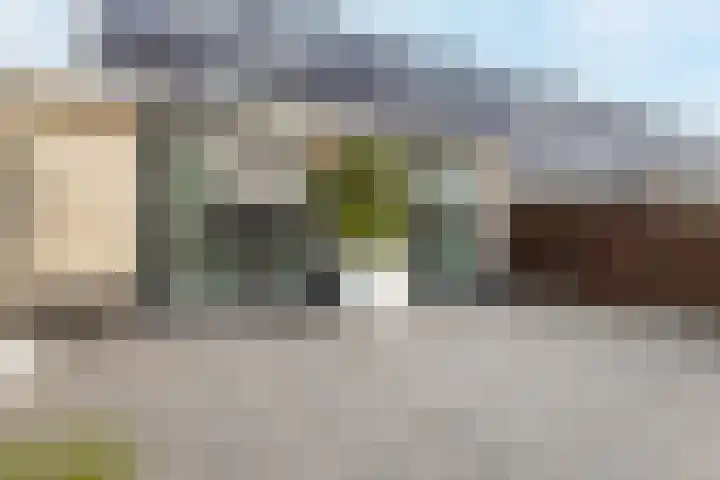 Schenkerven 21 Assendelft thumbnail 16