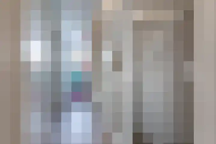 Schenkerven 21 Assendelft thumbnail 25