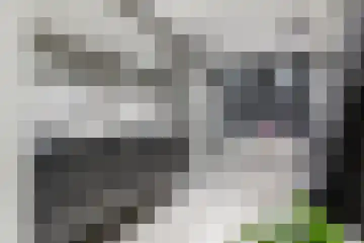 Schenkerven 21 Assendelft thumbnail 29