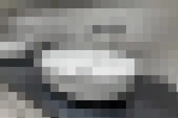 Schenkerven 21 Assendelft thumbnail 31