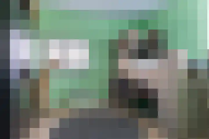 Schenkerven 21 Assendelft thumbnail 35