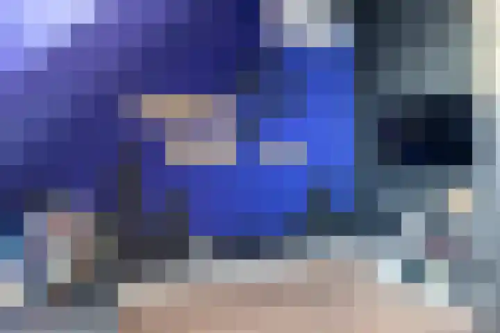 Schenkerven 21 Assendelft thumbnail 39