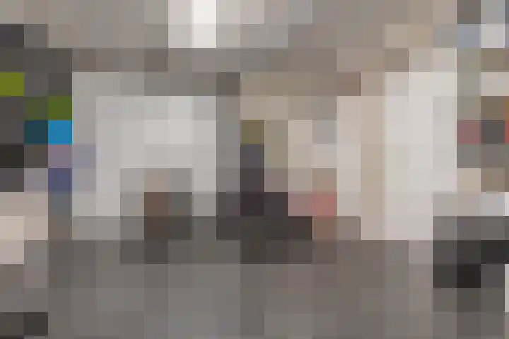 Schenkerven 21 Assendelft thumbnail 45