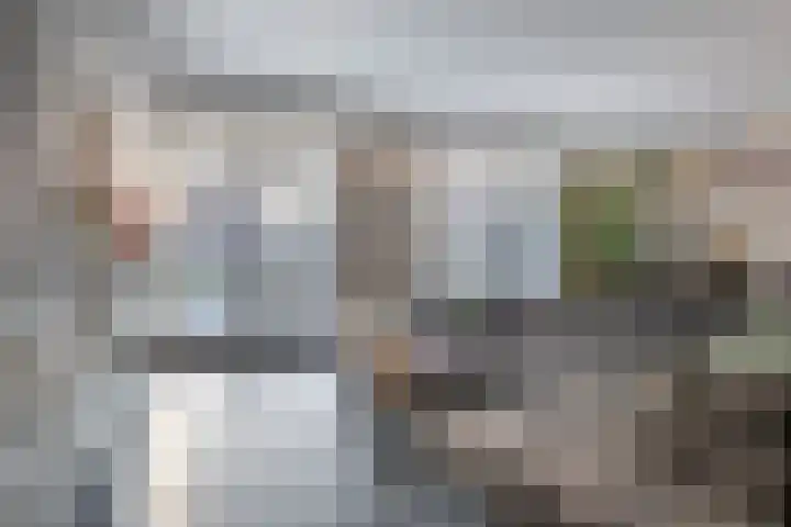 Schenkerven 21 Assendelft thumbnail 5