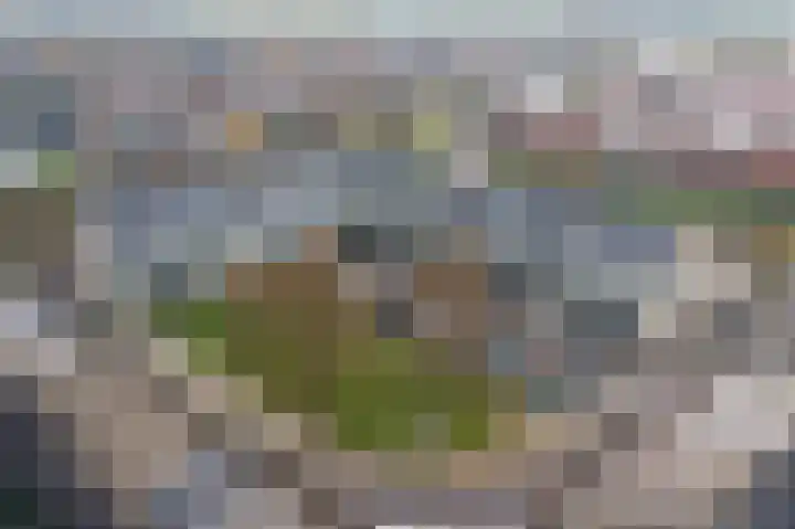 Schenkerven 21 Assendelft thumbnail 51