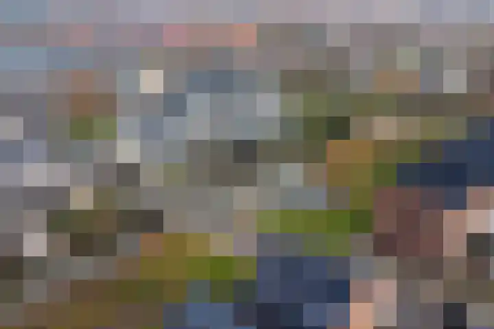 Schenkerven 21 Assendelft thumbnail 52