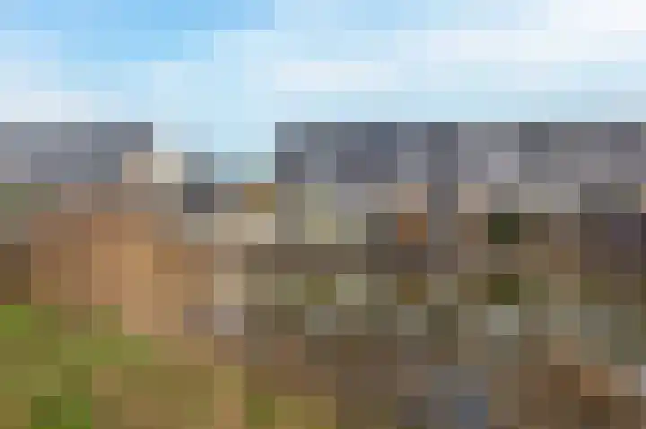 Schenkerven 21 Assendelft thumbnail 53