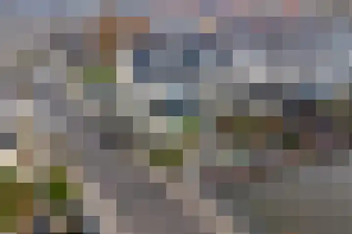 Schenkerven 21 Assendelft thumbnail 54