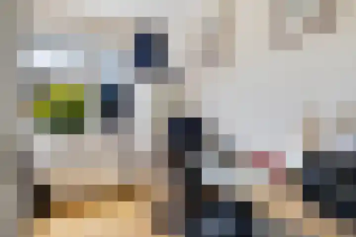 Schepel 1 Soest thumbnail 11