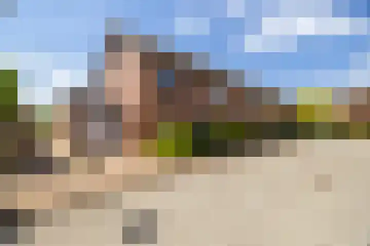 Schepel 1 Soest thumbnail 18