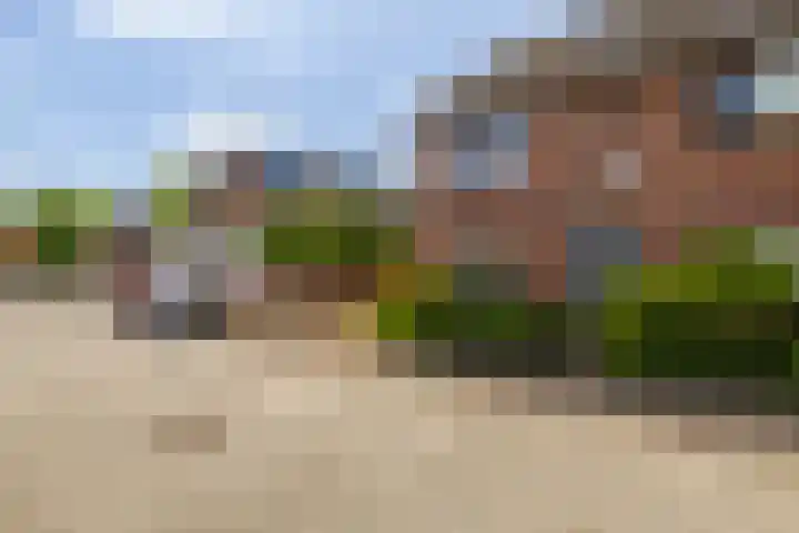 Schepel 1 Soest thumbnail 19