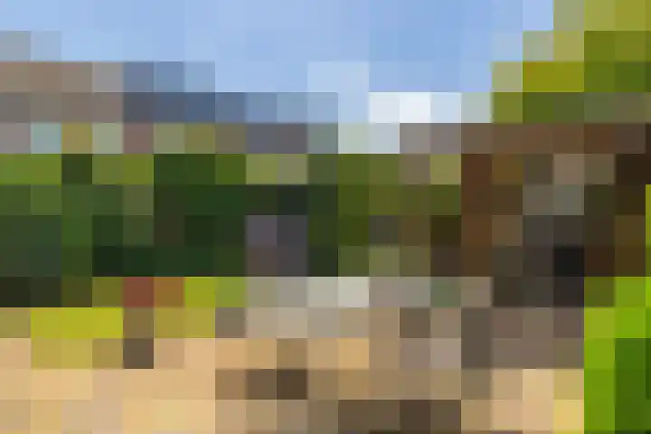 Schepel 1 Soest thumbnail 22