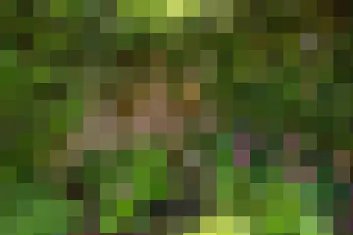 Schepel 1 Soest thumbnail 23