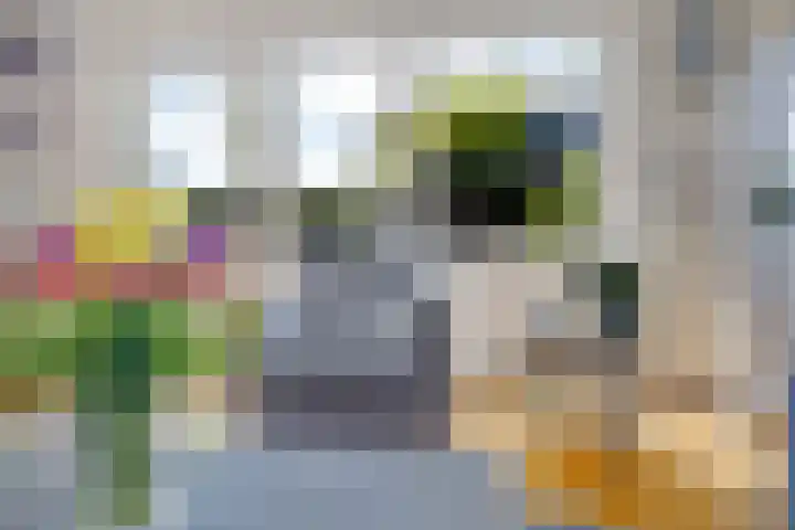 Schepel 1 Soest thumbnail 9