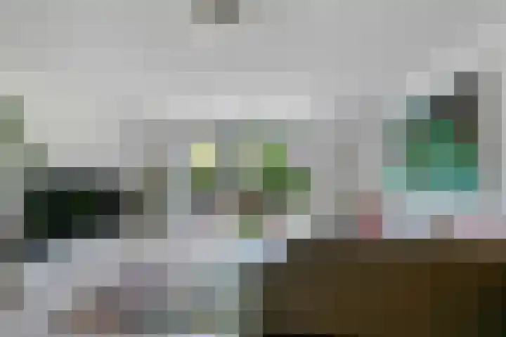 Schepel 11 Soest thumbnail 14