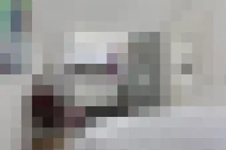 Schepel 11 Soest thumbnail 33