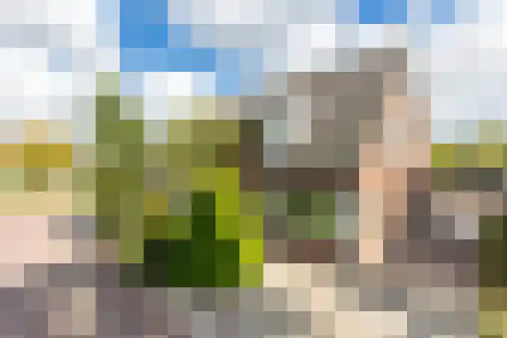 Schepen 81 Naaldwijk
