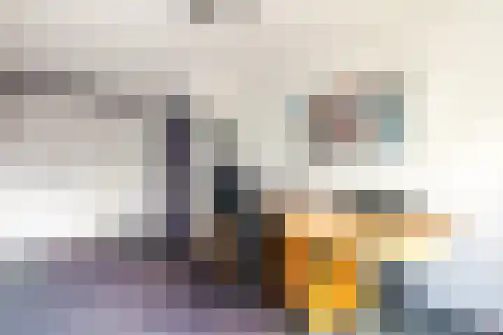 Schepen 81 Naaldwijk thumbnail 27