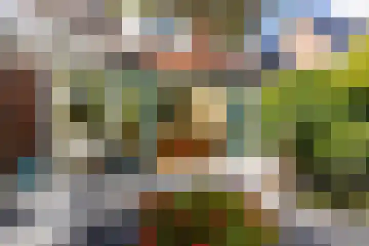 Schepen 81 Naaldwijk thumbnail 31