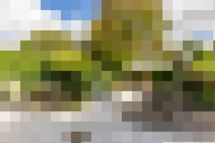 Schepen 81 Naaldwijk thumbnail 32