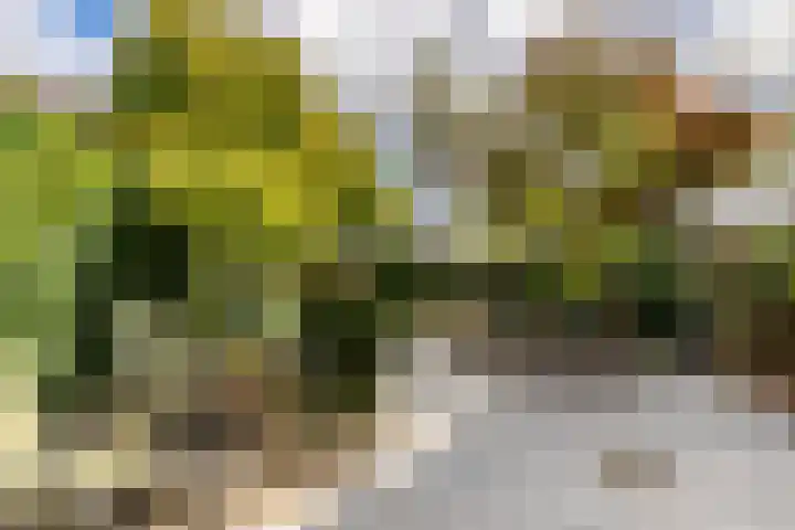 Schepen 81 Naaldwijk thumbnail 33