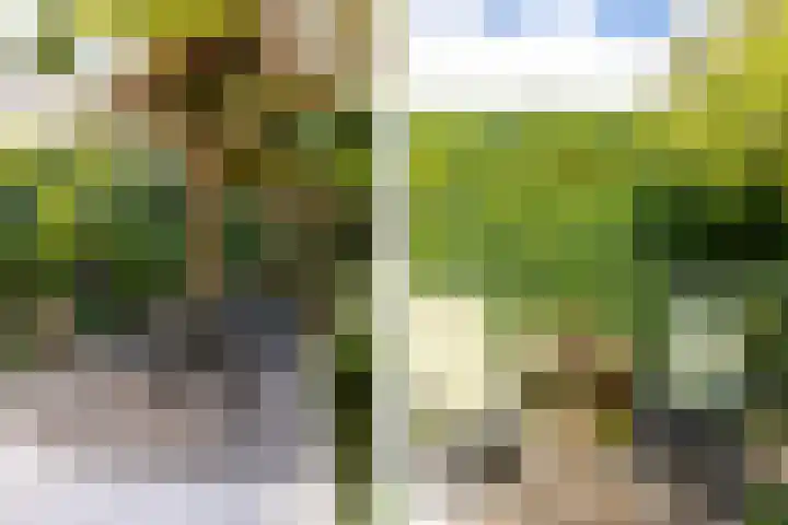 Schepen 81 Naaldwijk thumbnail 34