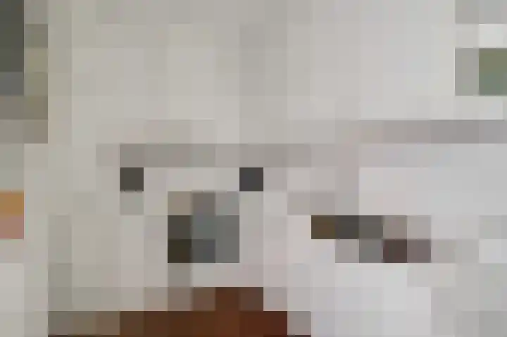 Schepenbank 15 Haelen thumbnail 16
