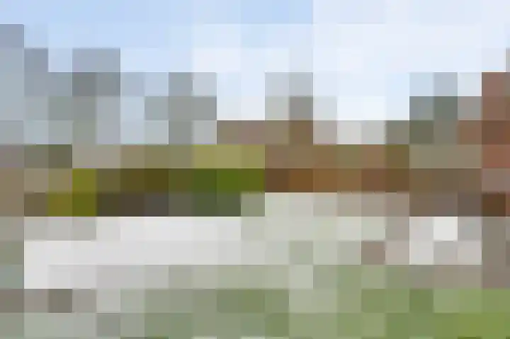 Schepenbank 15 Haelen thumbnail 32