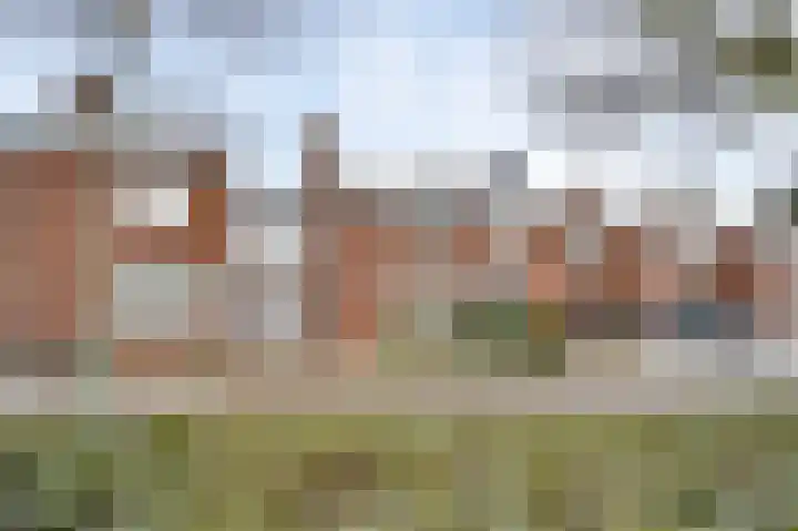 Schepenbank 15 Haelen thumbnail 36