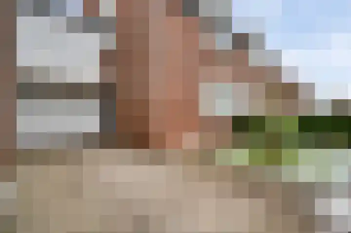 Schepenbank 15 Haelen thumbnail 5