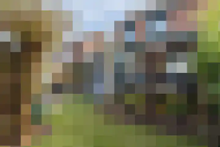 Schepenbank 6 Klimmen thumbnail 29