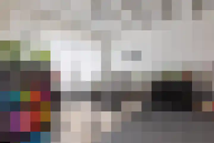 Schepenbank 6 Klimmen thumbnail 5