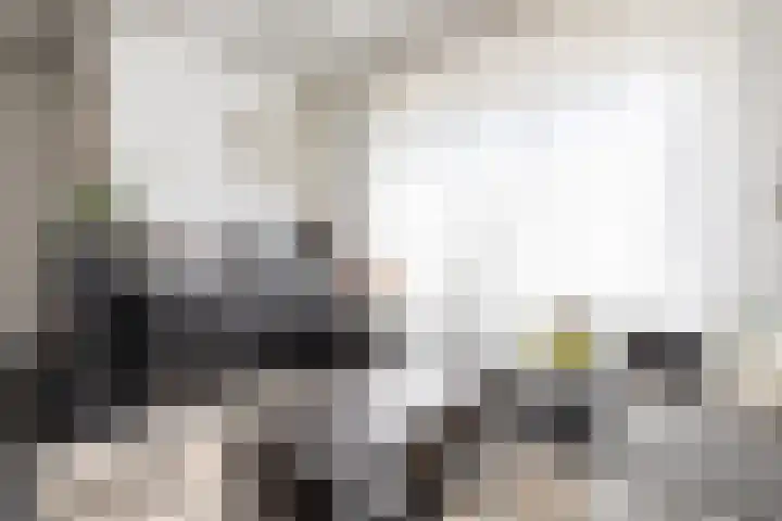 Schepenbank 6 Klimmen thumbnail 7