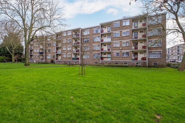 Schependreef 63 in 's-Gravenhage foto