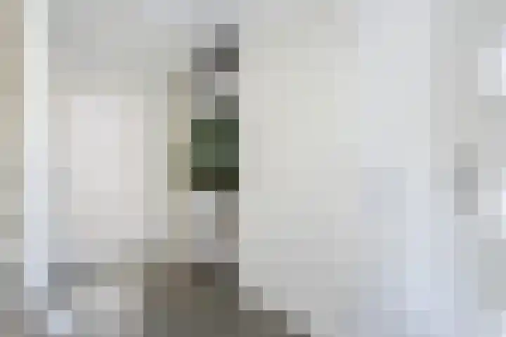Schepenen 48 Wijk bij Duurstede thumbnail 11