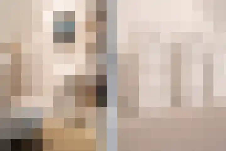 Schepenen 48 Wijk bij Duurstede thumbnail 13