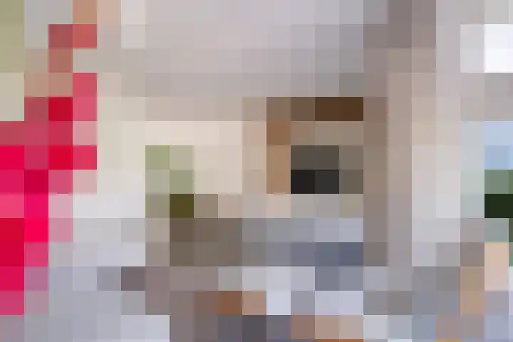 Schepenen 48 Wijk bij Duurstede thumbnail 16