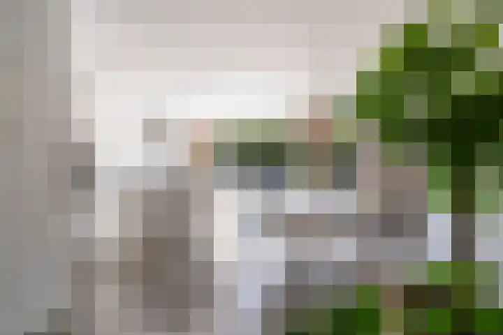Schepenen 48 Wijk bij Duurstede thumbnail 19