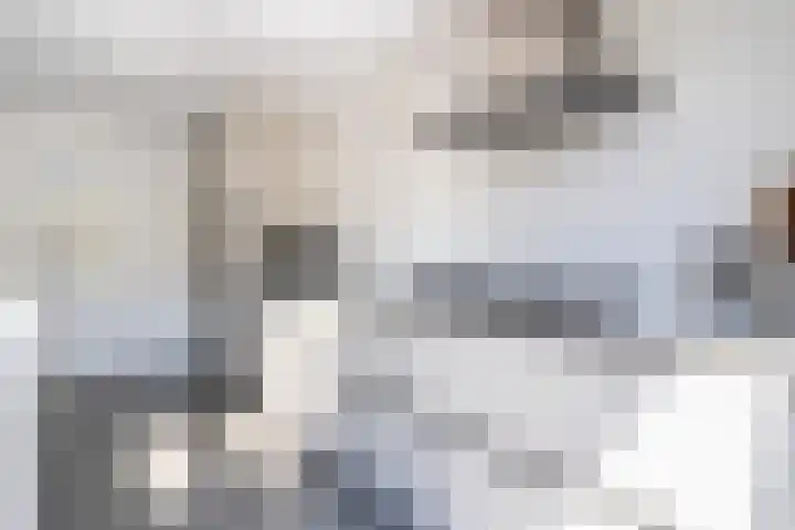 Schepenen 48 Wijk bij Duurstede thumbnail 21