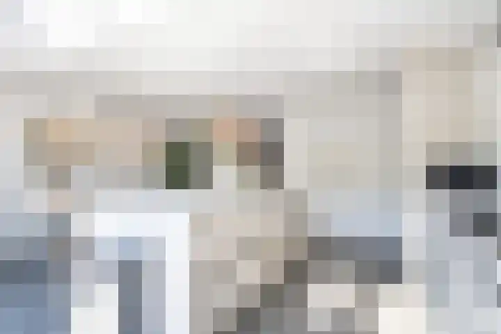 Schepenen 48 Wijk bij Duurstede thumbnail 22