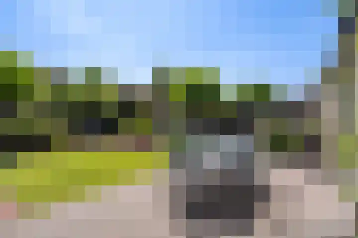 Schepenen 48 Wijk bij Duurstede thumbnail 29