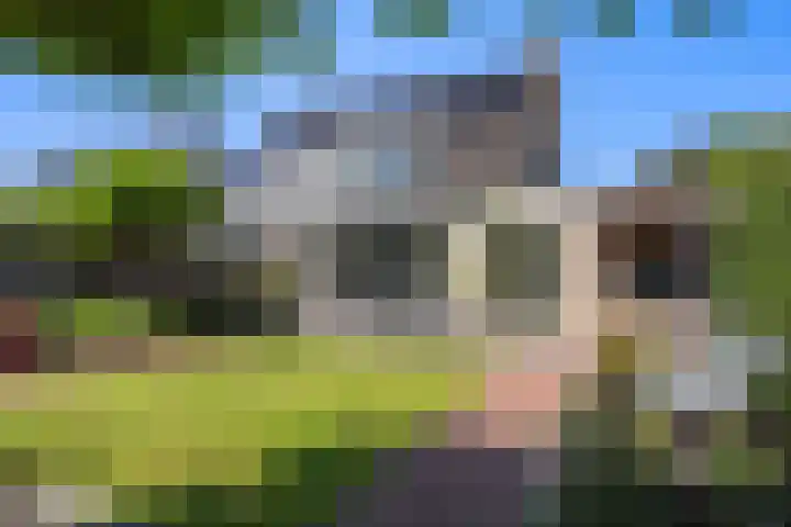 Schepenen 48 Wijk bij Duurstede thumbnail 30